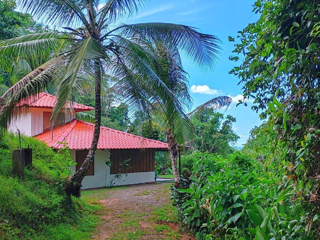 Corcovado Green Cabin & House Drakes Bay Exterior foto